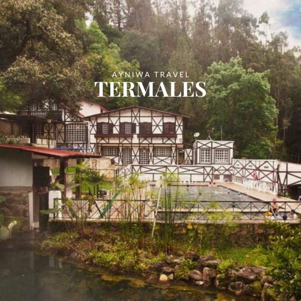 Termales_NOV2025-1