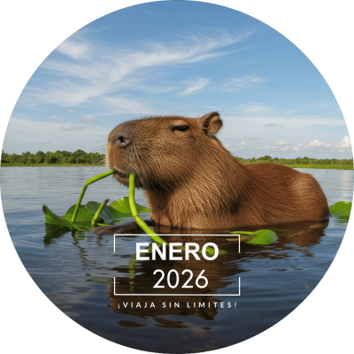 2026-01-ENERO