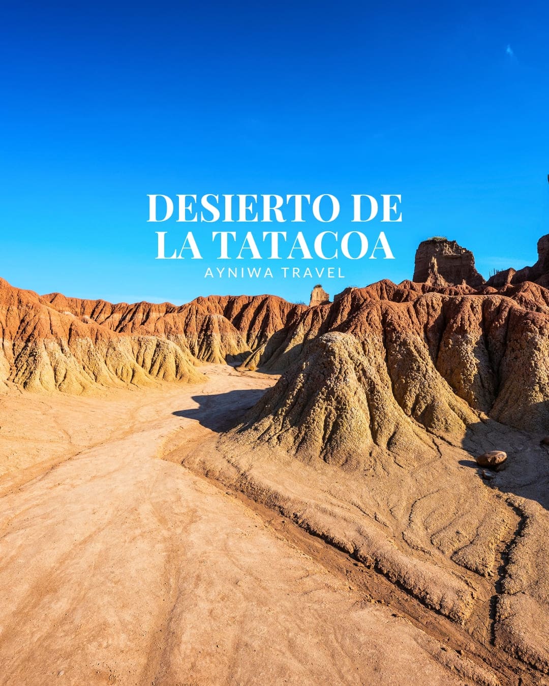 AyniwaTravel_DESIERTODELATATACOA-1