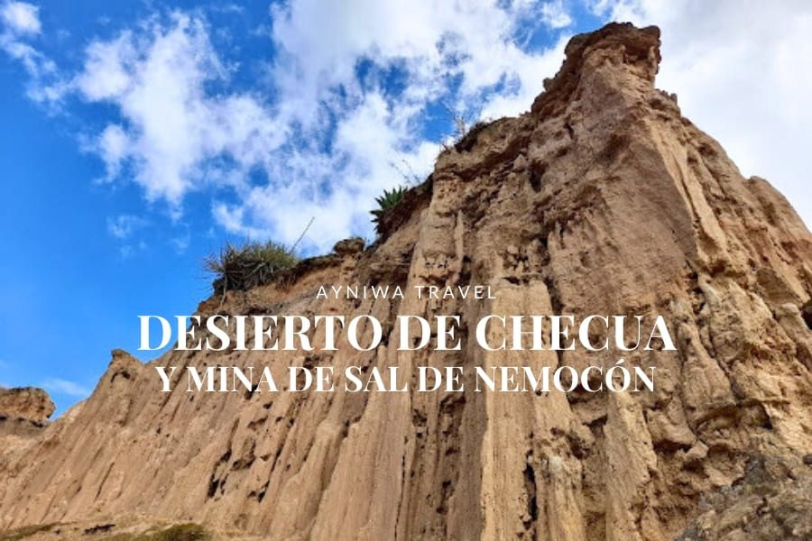 DESIERTO DE CHECUA Y MINA DE SAL DE NEMOCÓN | Pasadía