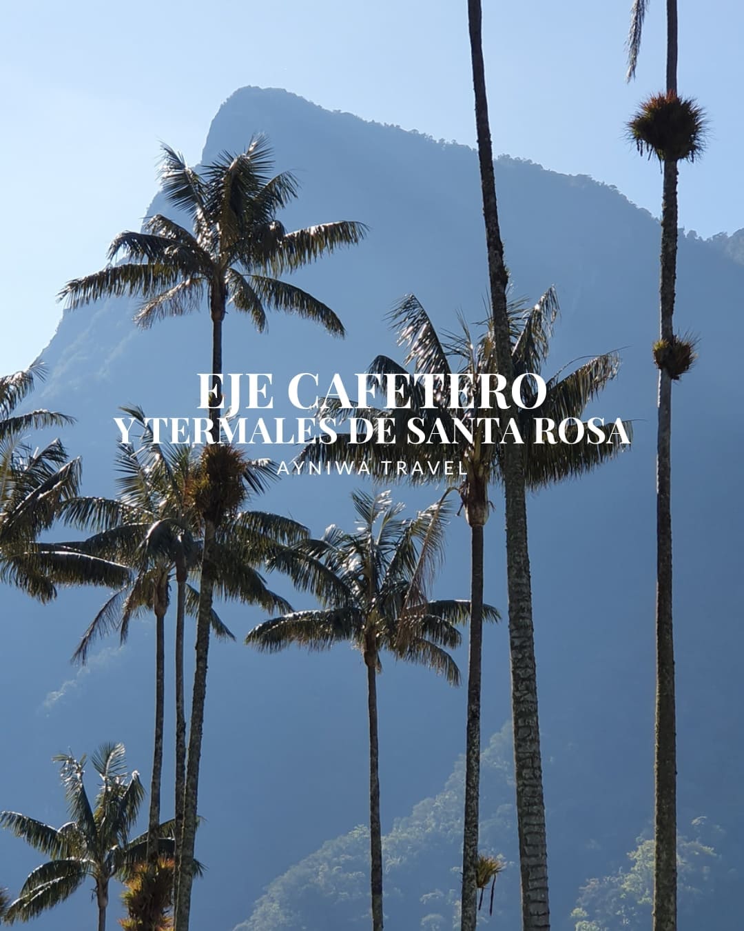 AyniwaTravel_EJECAFETEROYTERMALESDESANTAROSA-1