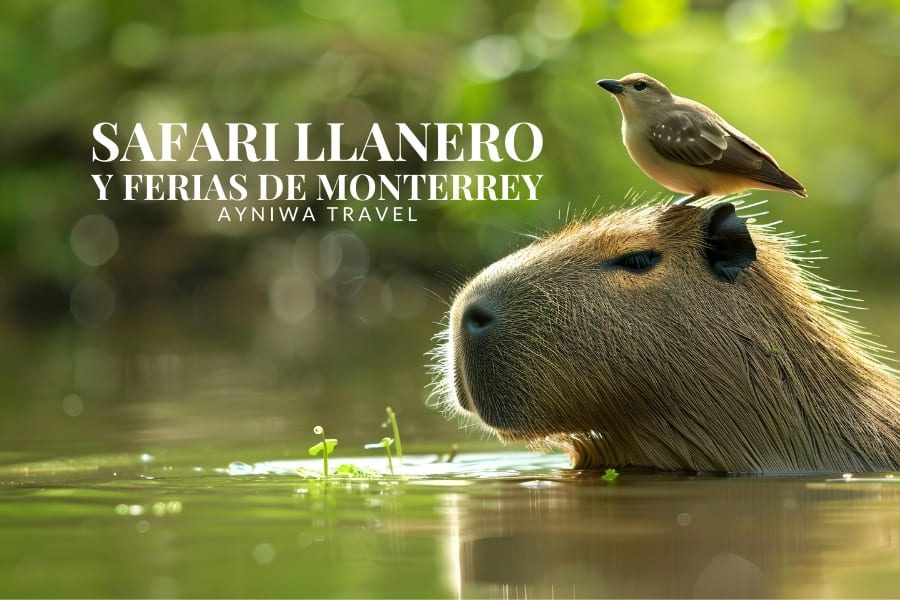 SAFARI LLANERO Y FERIAS DE MONTERREY | Plan 3 Días