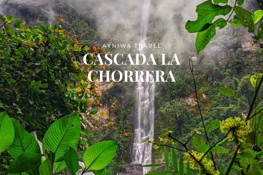 CASCADA LA CHORRERA | Pasadía