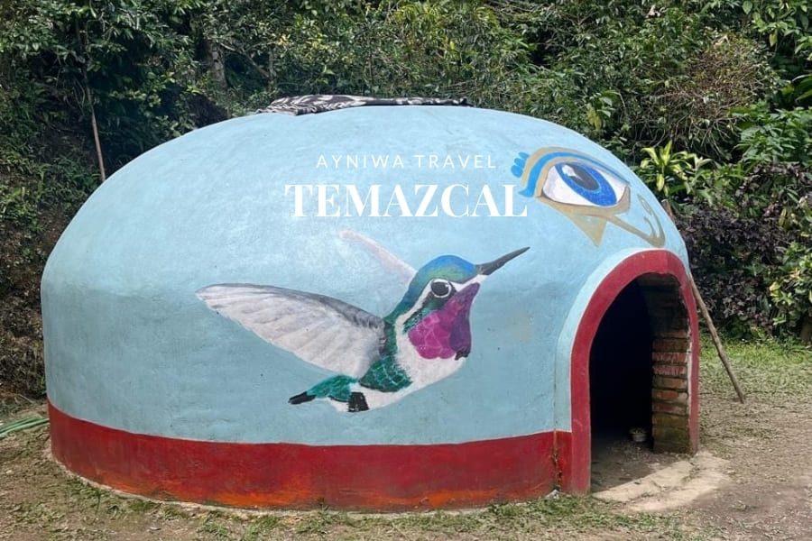 TEMAZCAL | Pasadía