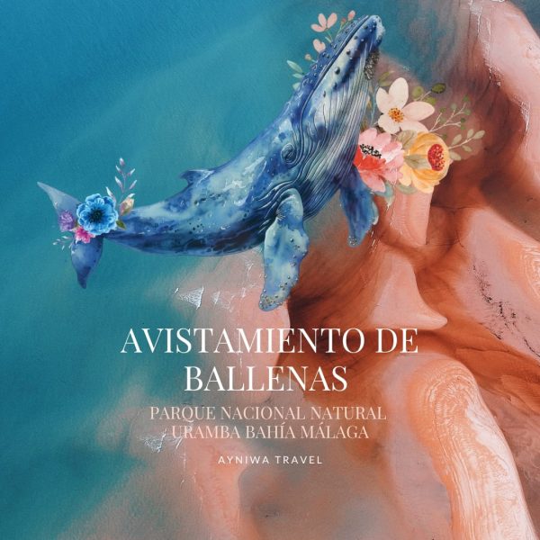 AyniwaTravel_AvistamientoBalleas3D2N-001