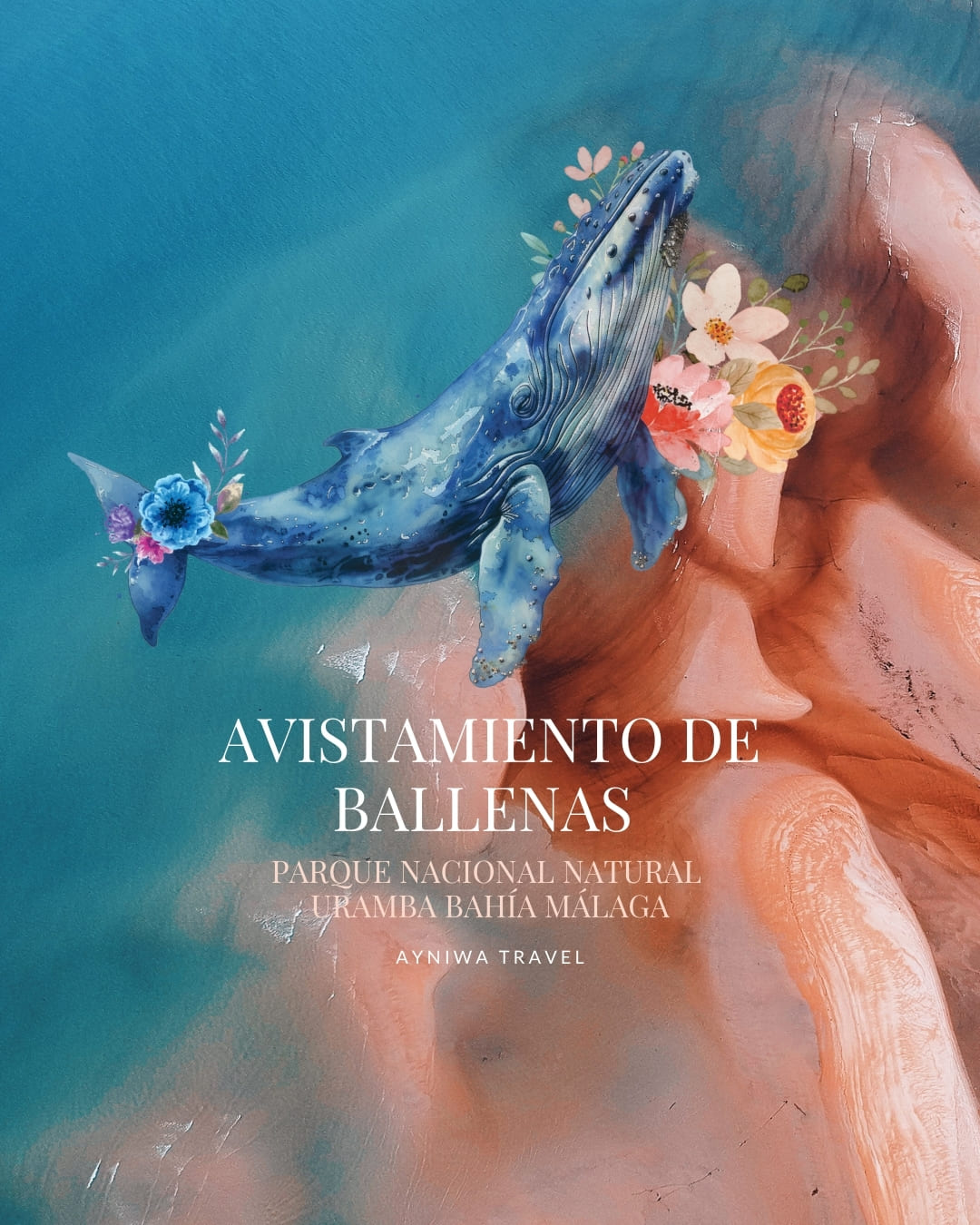 AyniwaTravel_AvistamientoBalleas3D2N-001