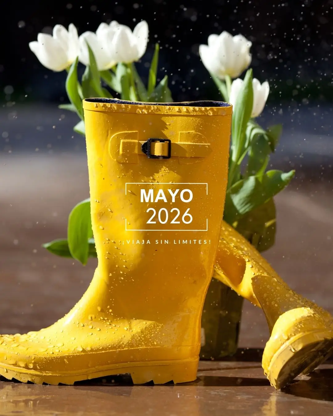 AyniwaTravelPortada_Mayo2026