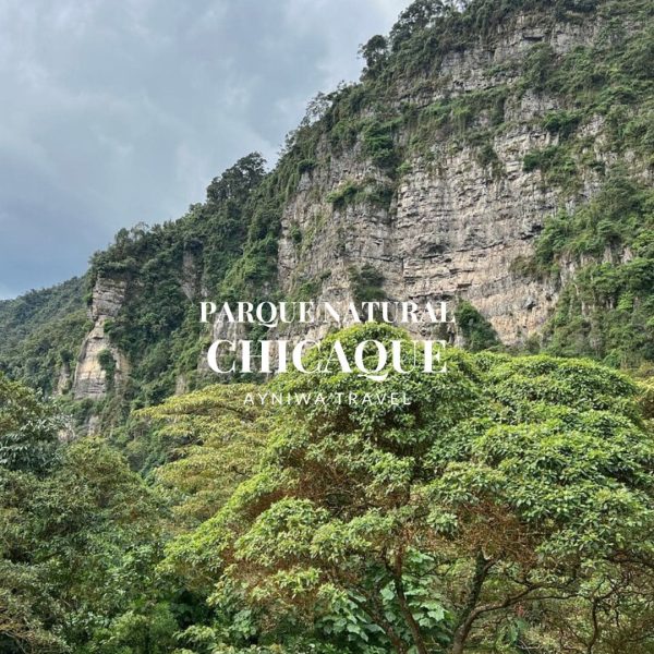 AyniwaTravel_Chicaque-01