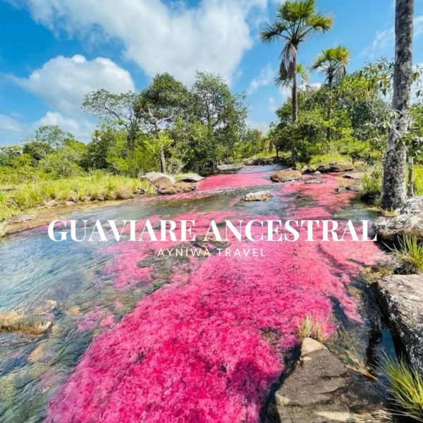 GUAVIARE ANCESTRAL