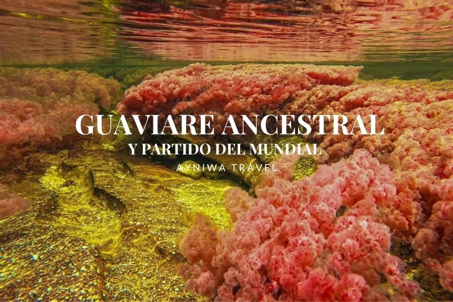 GUAVIARE ANCESTRAL: SELVA, ARTE RUPESTRE Y PAISAJES DE OTRO PLANETA | PLAN 3 DÍAS