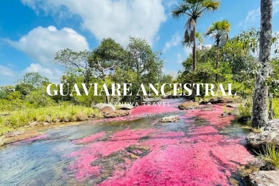 GUAVIARE ANCESTRAL: SELVA, ARTE RUPESTRE Y PAISAJES DE OTRO PLANETA | PLAN 3 DÍAS – 2 NOCHES