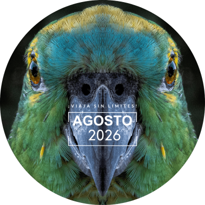 2026-08-AGOSTO
